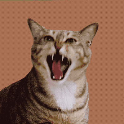 张奕源Nick